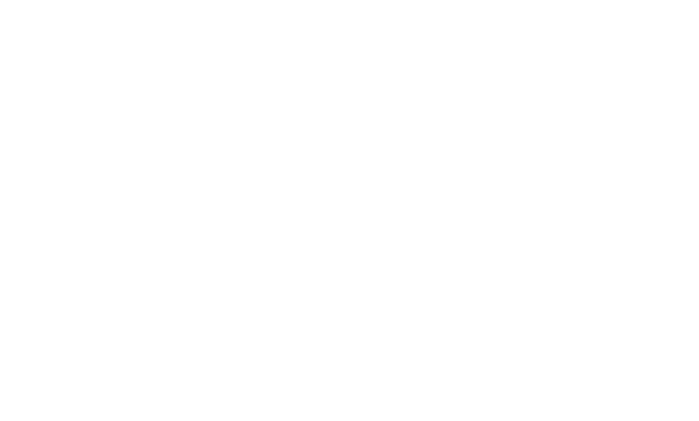 Axis-Apex - Global BPO and call center outsourcing company logo